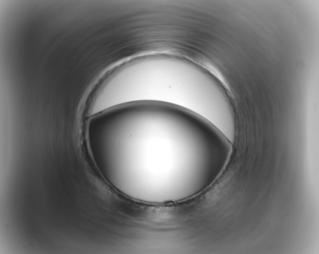 X0000089691116200706210828
