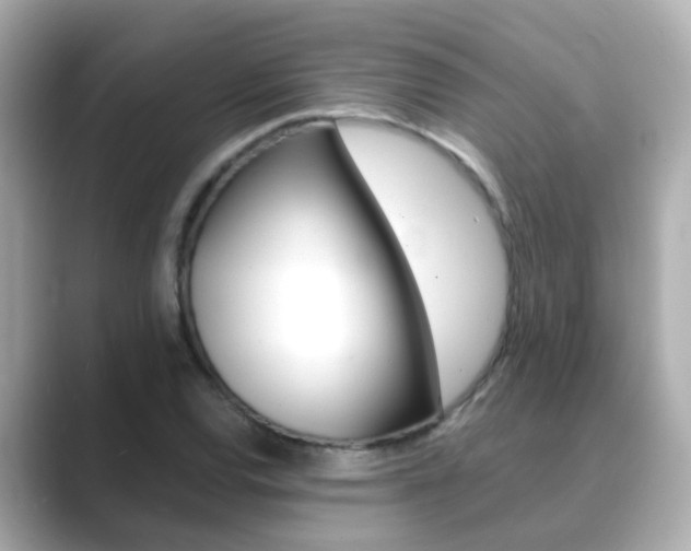 X0000089691120200706210828