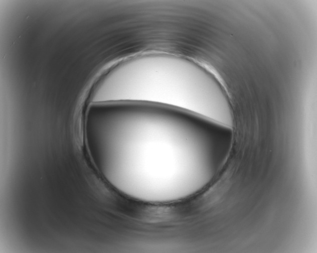 X0000089691123200706210828