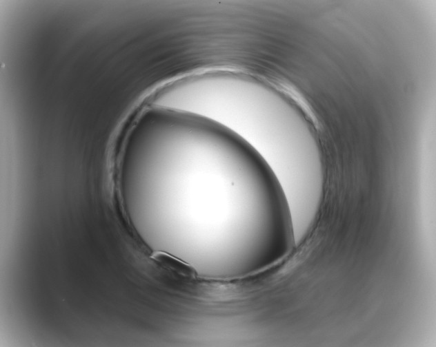 X0000089691124200706210828