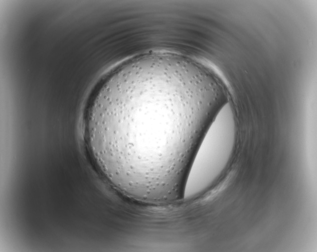 X0000089691125200706210829