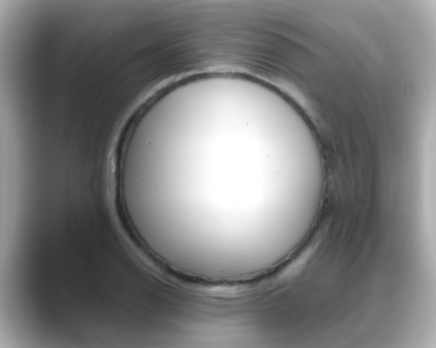 X0000089691126200706210829