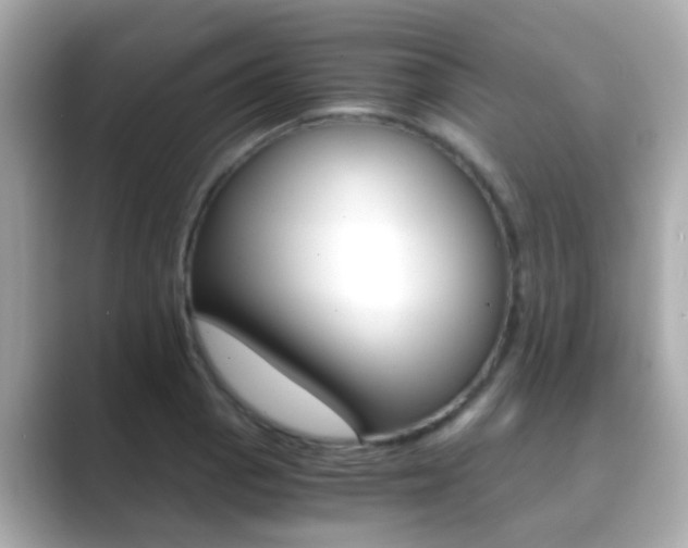 X0000089691129200706210829