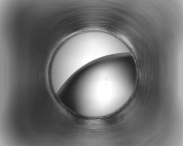 X0000089691133200706210829