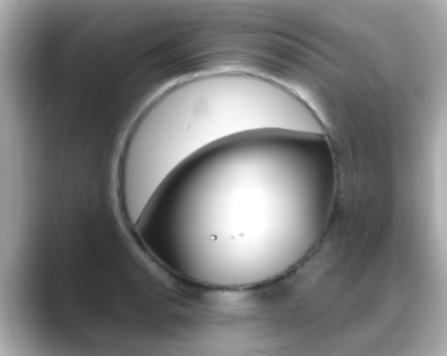 X0000089691134200706210829