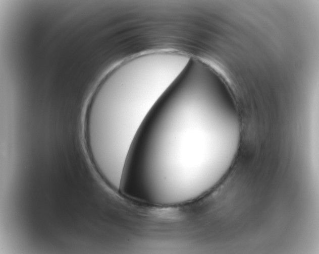 X0000089691135200706210829