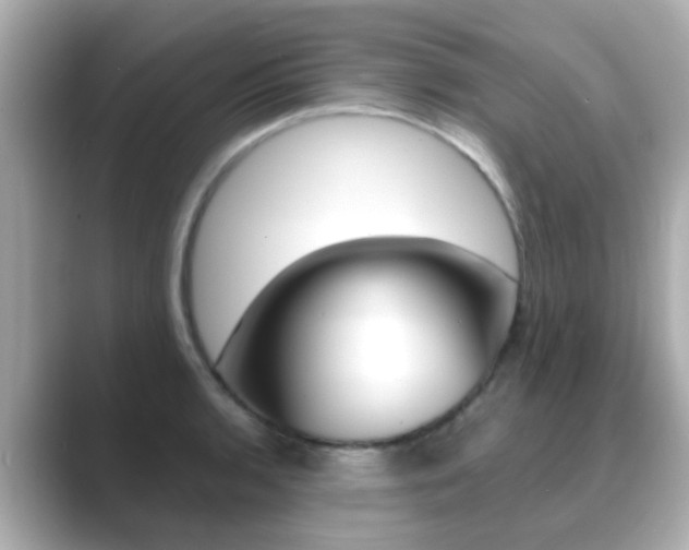 X0000089691136200706210829