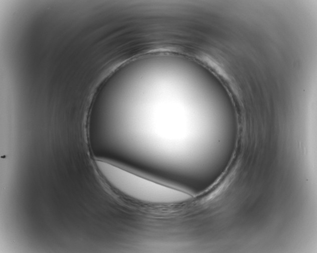 X0000089691137200706210829