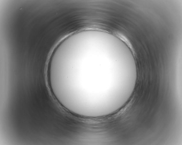 X0000089691138200706210829