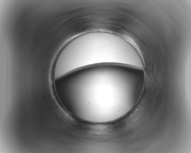 X0000089691141200706210829