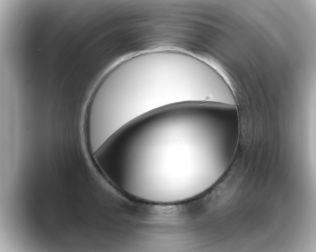 X0000089691142200706210829