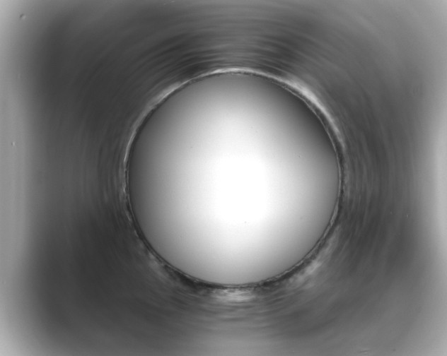 X0000089691145200706210829