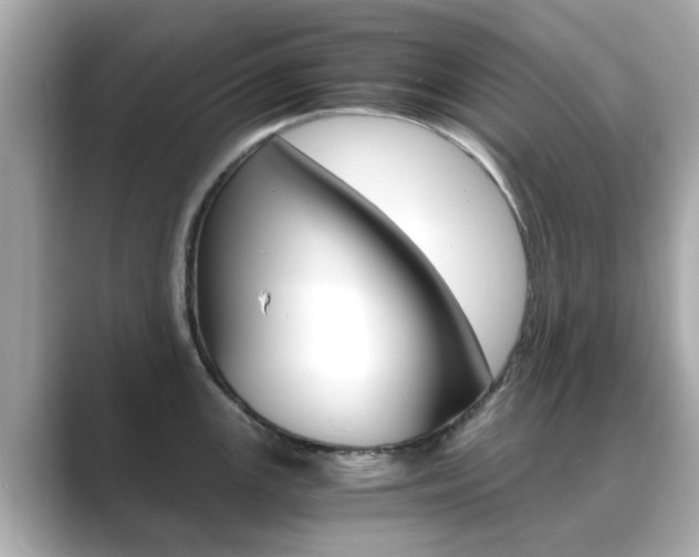 X0000089691147200706210829