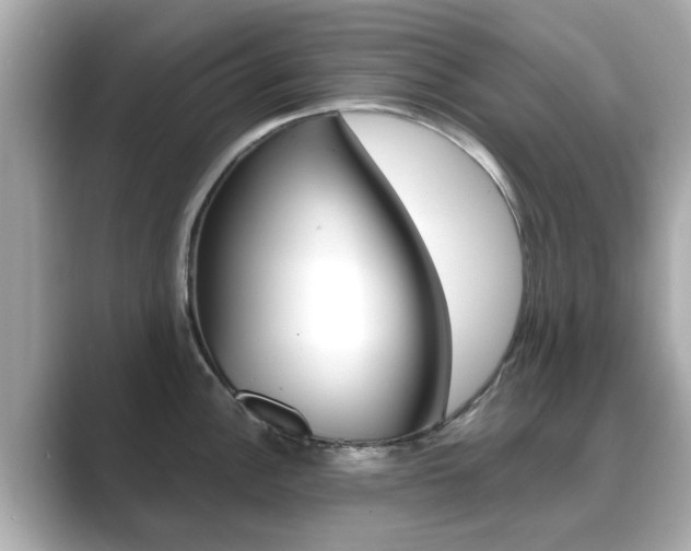 X0000089691148200706210829