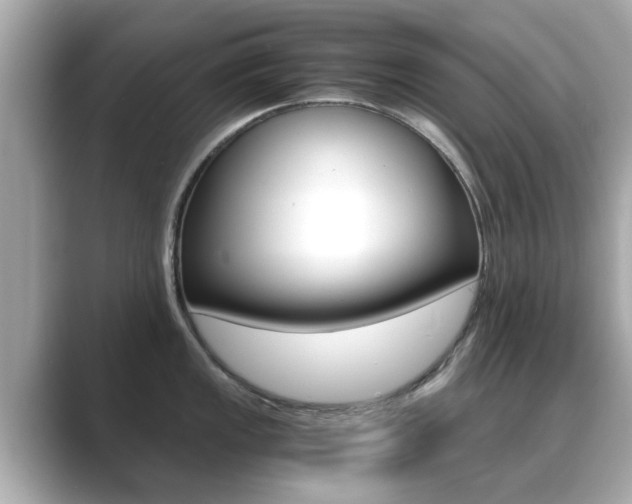 X0000089691149200706210829