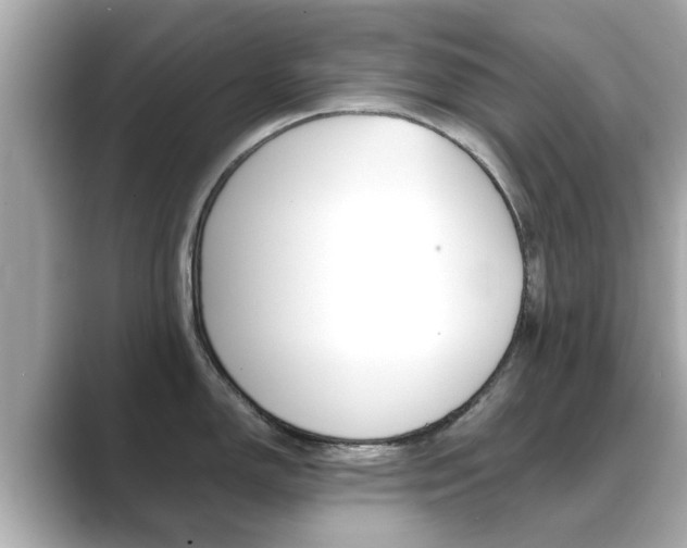 X0000089691150200706210829