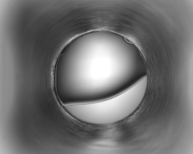 X0000089691151200706210829