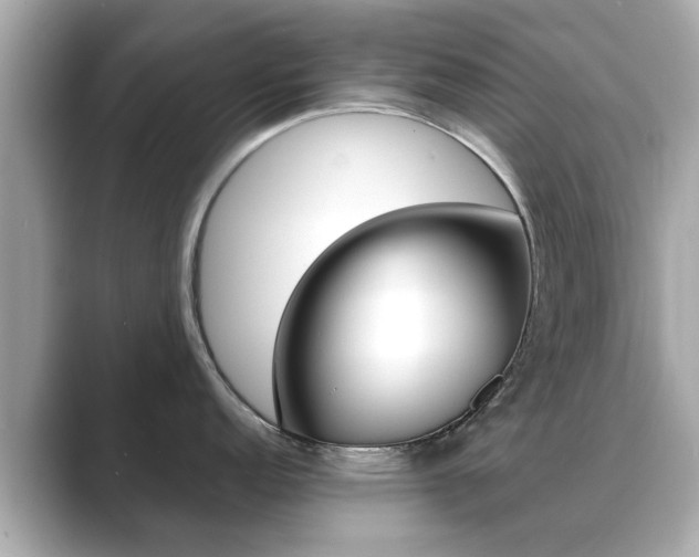 X0000089691152200706210829