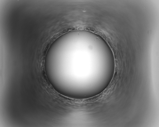 X0000089691157200706210828