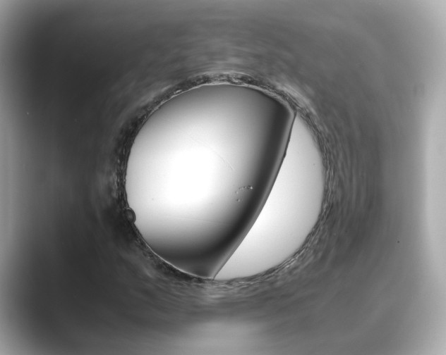 X0000089691159200706210828