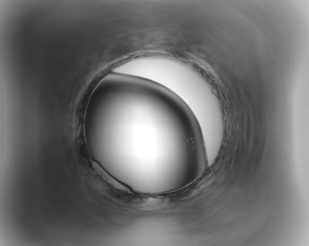 X0000089691160200706210828