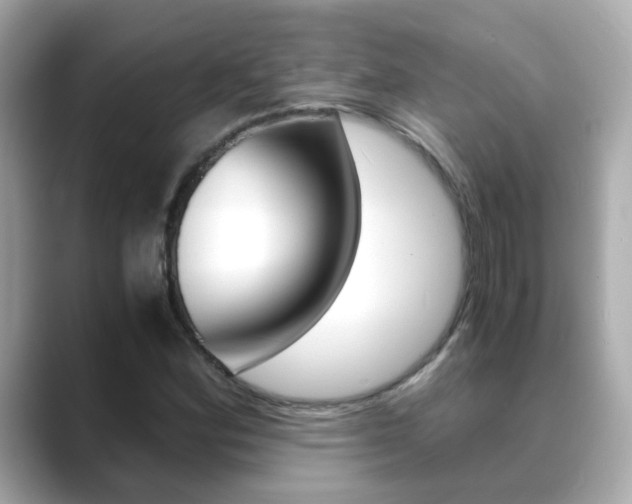 X0000089691164200706210828