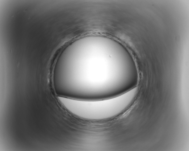 X0000089691165200706210828