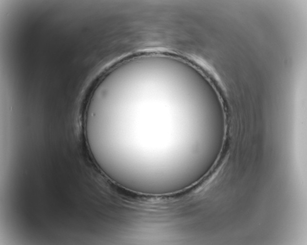 X0000089691167200706210828