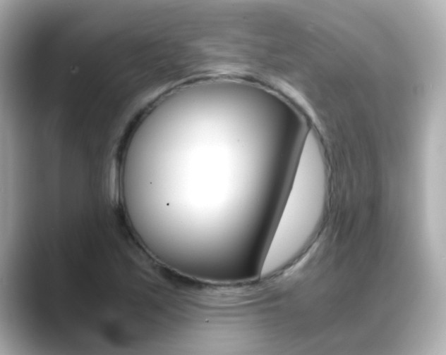X0000089691171200706210828