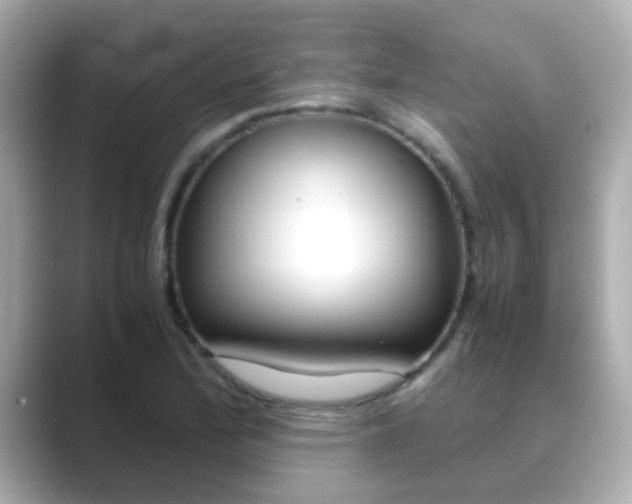 X0000089691172200706210828
