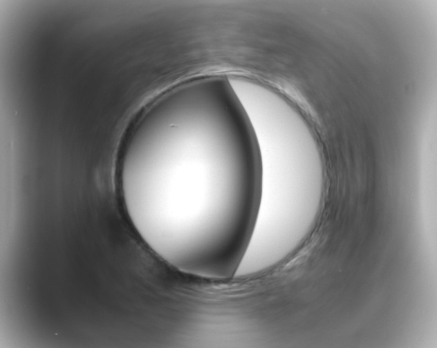 X0000089691173200706210828
