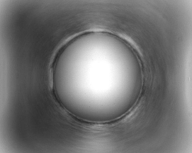 X0000089691175200706210828