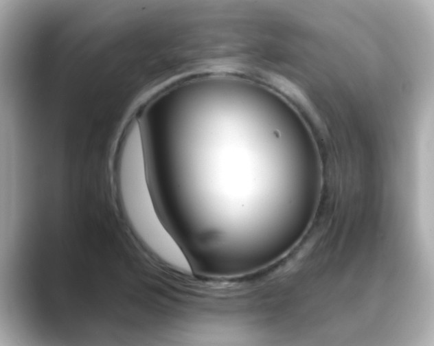 X0000089691176200706210828