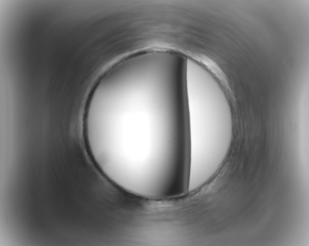 X0000089691183200706210828