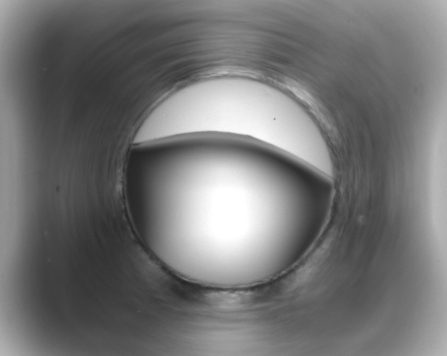 X0000089691185200706210828