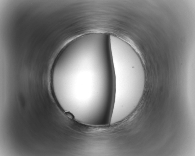 X0000089691187200706210828