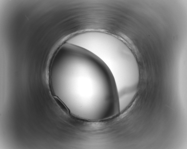 X0000089691188200706210828