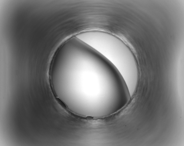 X0000089691189200706210828