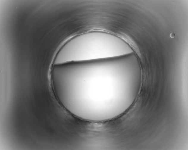X0000089691190200706210828