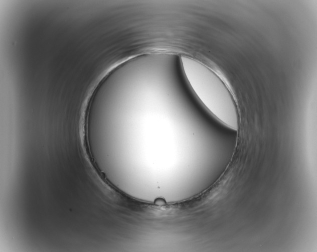 X0000089691195200706210828