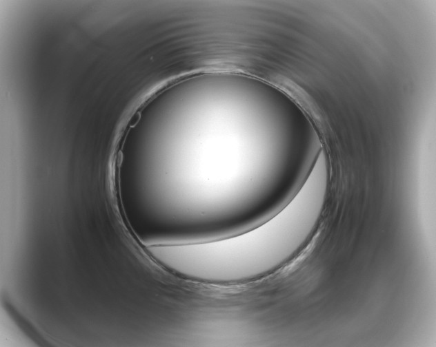 X0000089691196200706210828