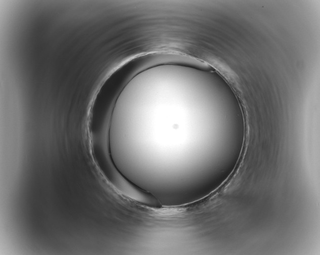 X0000089691200200706210828