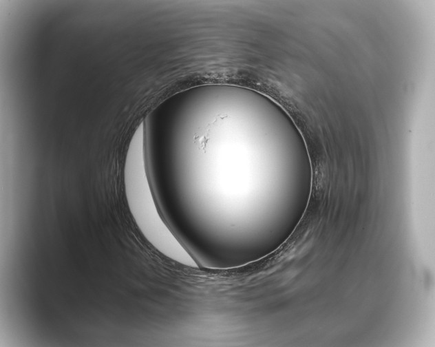 X0000089691202200706210827
