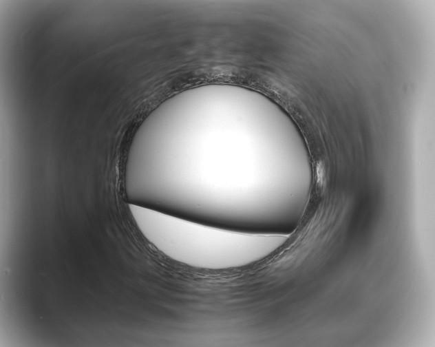X0000089691203200706210827