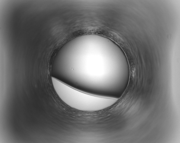 X0000089691204200706210827