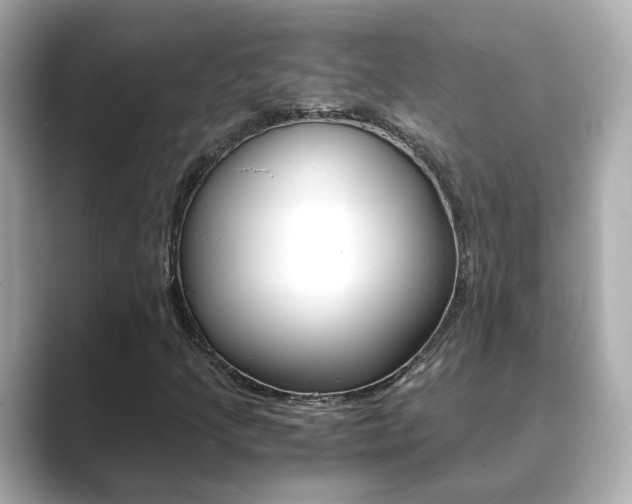 X0000089691205200706210827