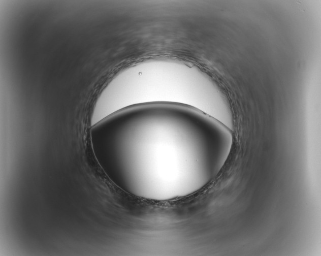 X0000089691206200706210827