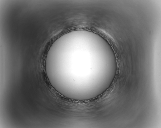 X0000089691207200706210827