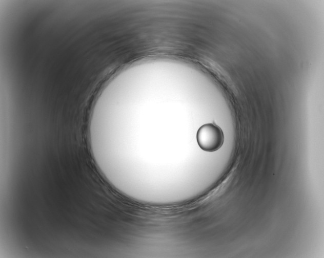 X0000089691210200706210827