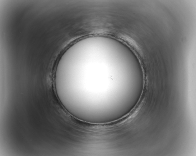 X0000089691212200706210827